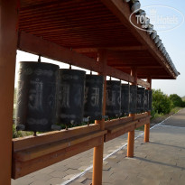 фото из отзыва ID 2730583