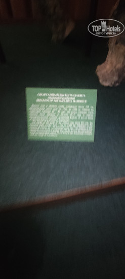 Квартира на Матросова 13Б