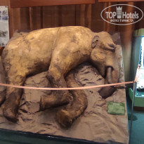 фото из отзыва ID 2730894