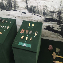 фото из отзыва ID 2730894