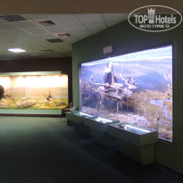 фото из отзыва ID 2730894