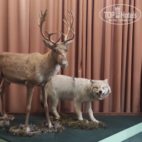 фото из отзыва ID 2730894