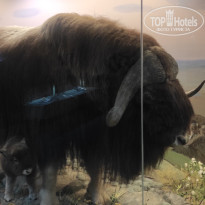 фото из отзыва ID 2730894