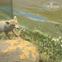 фото из отзыва ID 2730894