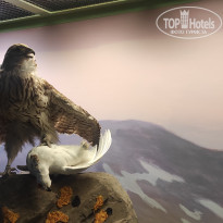 фото из отзыва ID 2730894