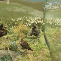 фото из отзыва ID 2730894