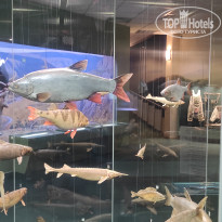 фото из отзыва ID 2730894