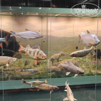 фото из отзыва ID 2730894