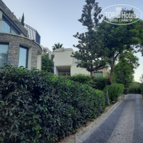 фото из отзыва ID 2730910