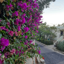 фото из отзыва ID 2730910