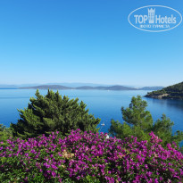 фото из отзыва ID 2730910