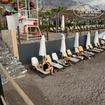 фото из отзыва ID 2730917