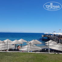 фото из отзыва ID 2730944