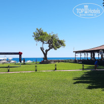 фото из отзыва ID 2730944