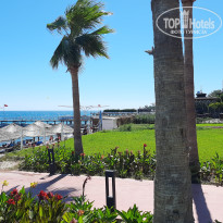 фото из отзыва ID 2730944