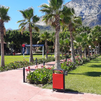 фото из отзыва ID 2730944