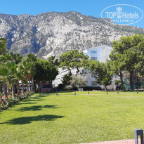 фото из отзыва ID 2730944