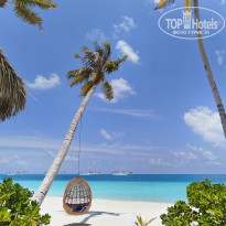 фото из отзыва ID 2730822