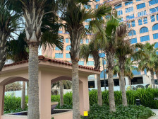 Rixos Marina Abu Dhabi 5*