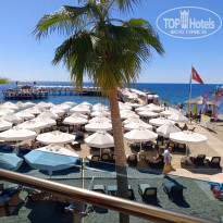 фото из отзыва ID 2730985