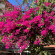 фото из отзыва ID 2730994