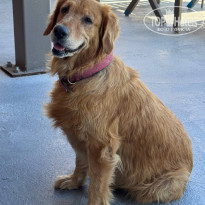 фото из отзыва ID 2730995