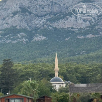 фото из отзыва ID 2730995