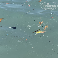 фото из отзыва ID 2731010