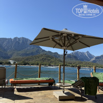 фото из отзыва ID 2731010