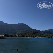 фото из отзыва ID 2731010