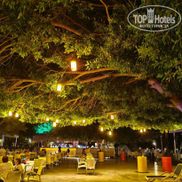 фото из отзыва ID 2731024