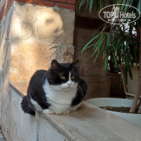 фото из отзыва ID 2731024