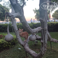 фото из отзыва ID 2731024