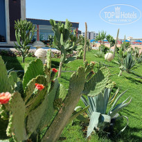 фото из отзыва ID 2730171