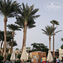 фото из отзыва ID 2731078