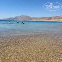 фото из отзыва ID 2731078