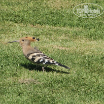 фото из отзыва ID 2731078