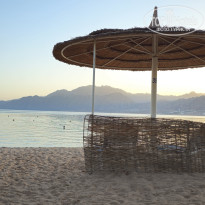 фото из отзыва ID 2731078