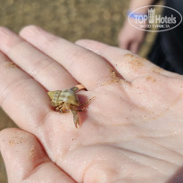 фото из отзыва ID 2731078