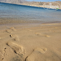 фото из отзыва ID 2731078