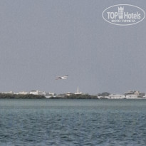 фото из отзыва ID 2731125