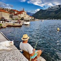 фото из отзыва ID 2731128