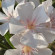 фото из отзыва ID 2730299