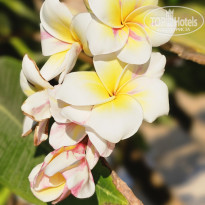 фото из отзыва ID 2730299