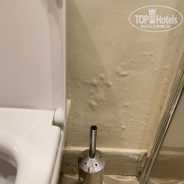 фото из отзыва ID 2731170