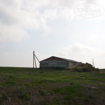 фото из отзыва ID 2730585