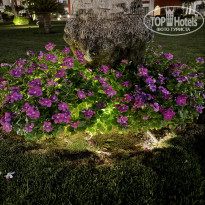 фото из отзыва ID 2731207