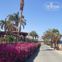 фото из отзыва ID 2731196