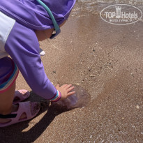 фото из отзыва ID 2731196