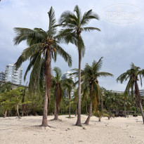 фото из отзыва ID 2731263